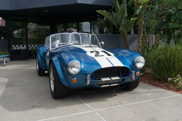 SuperformanceFogelson-5