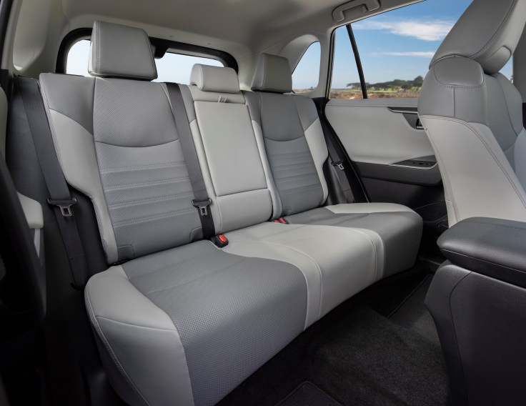 2019_Toyota_RAV4_Limited_FWD_MagneticGrayMetallic_59