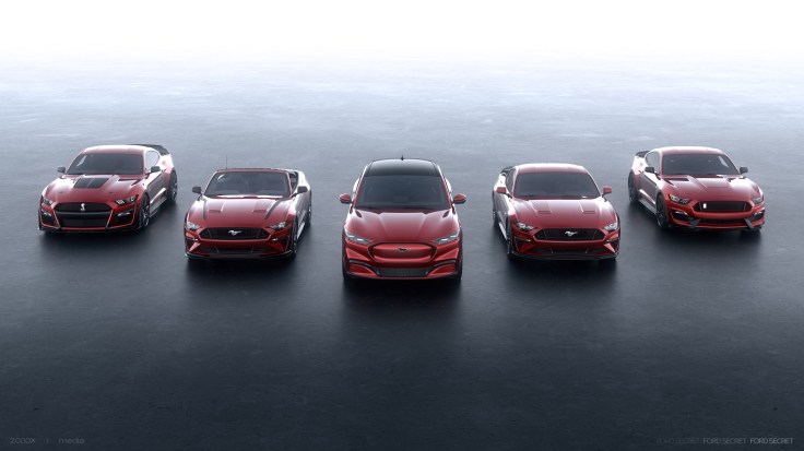 Mustang Family Photo