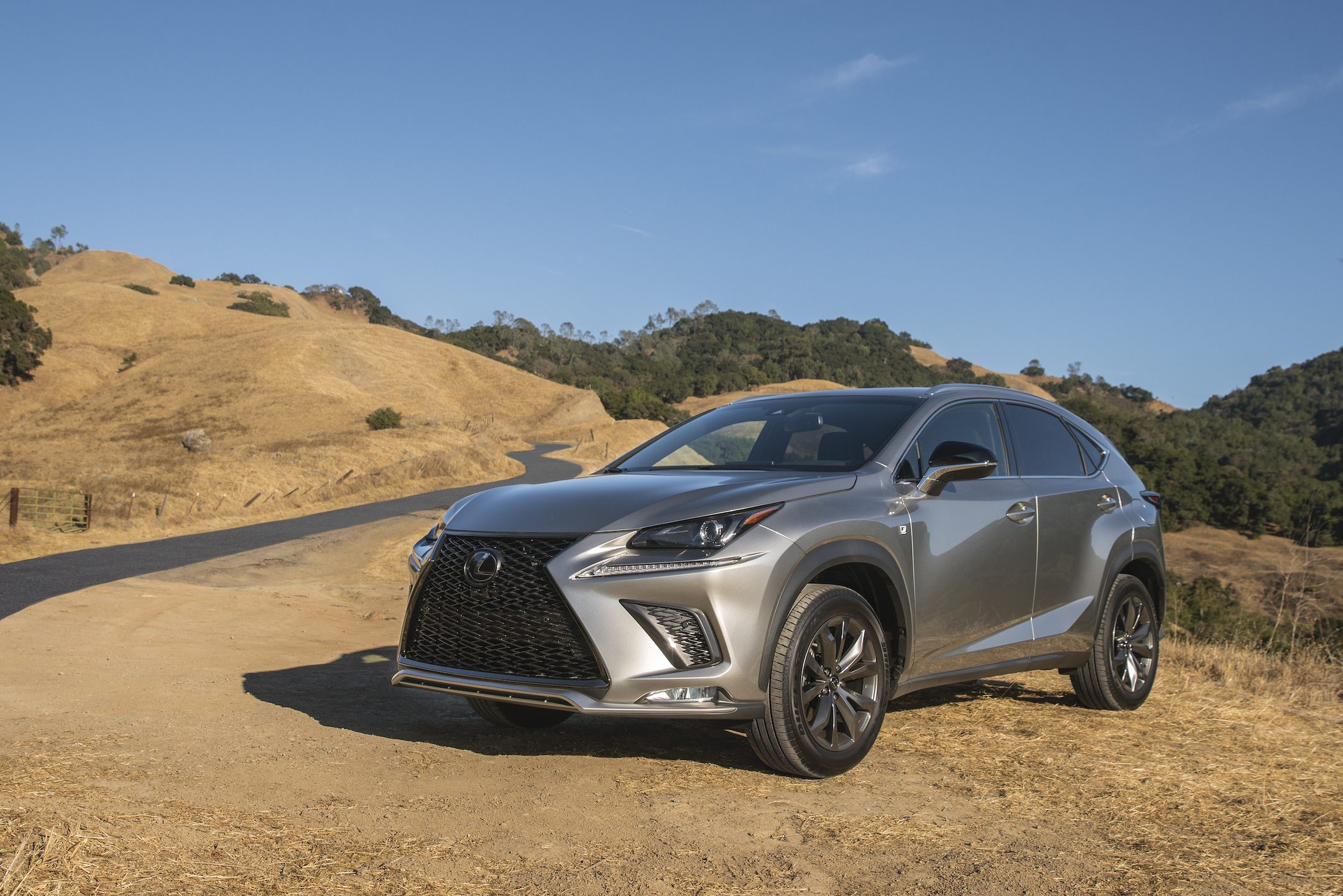 2021 Lexus NX 300h Luxury: A DriveWays Review… – The Review Garage